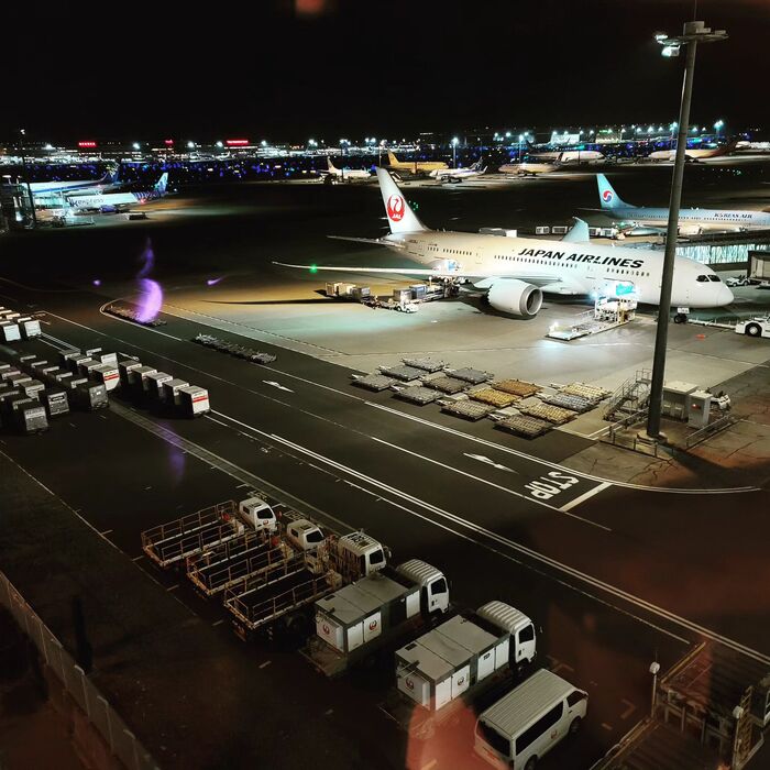 画像239