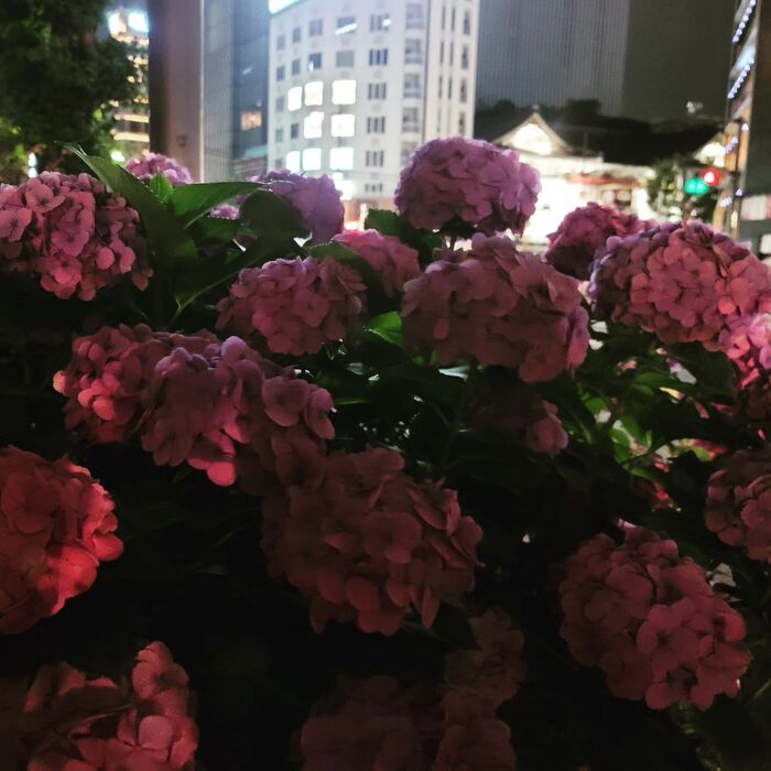 画像349