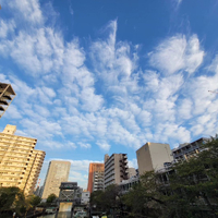 画像493