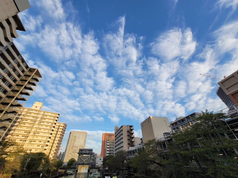 画像493