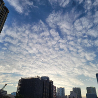 画像494