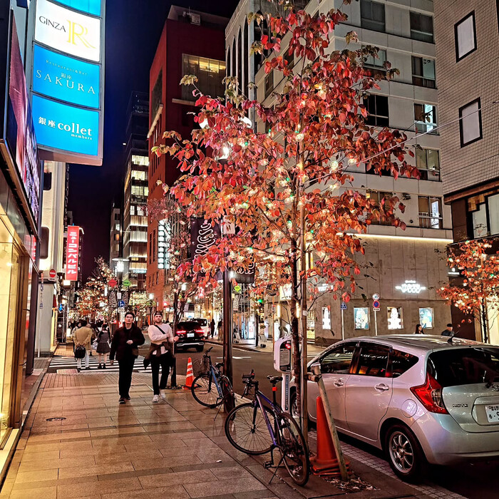 画像535