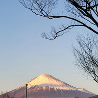 画像577