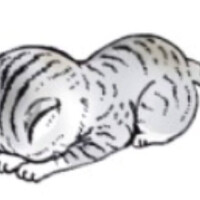 画像579