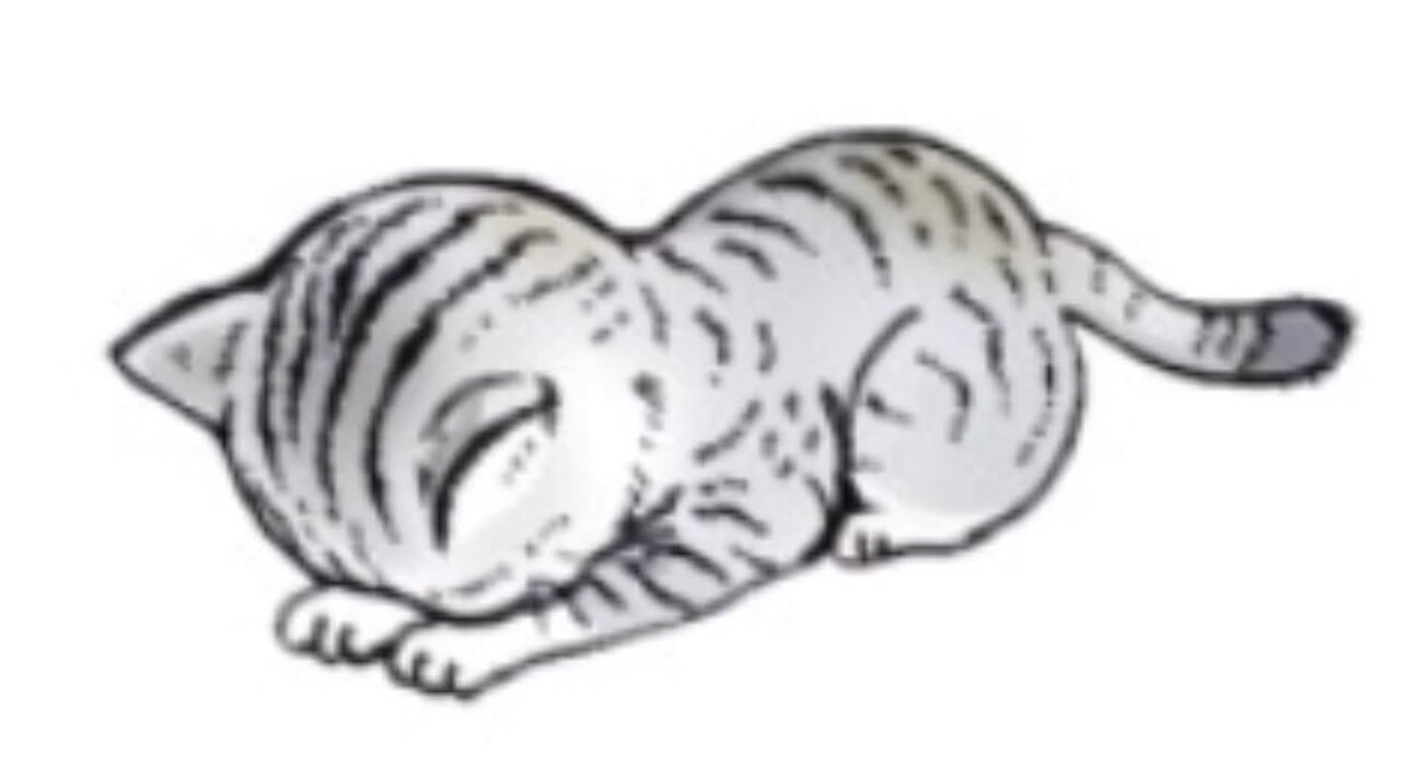 画像579