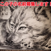 画像762