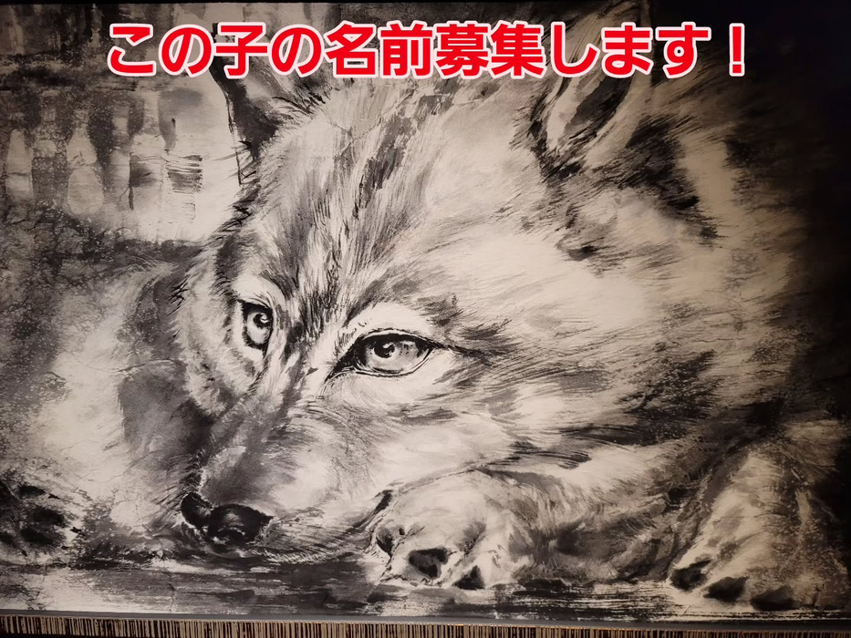 画像762